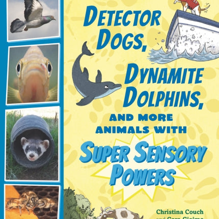 Detector Dogs, Dynamite Dolphins, and More Animals with Super Sensory Powers