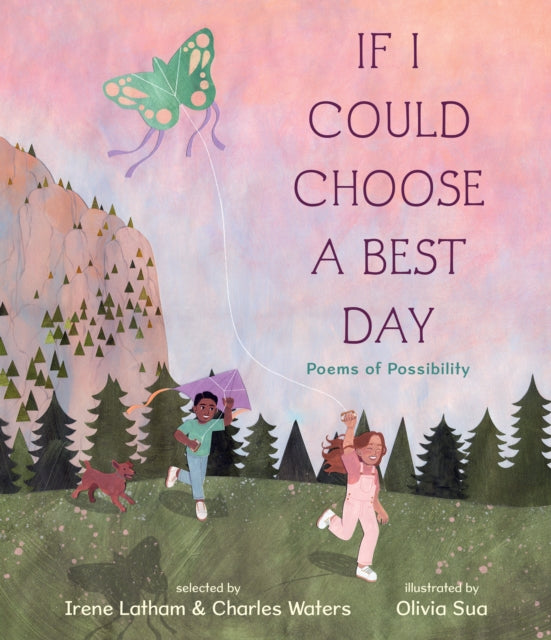If I Could Choose a Best Day Poems of Possibility