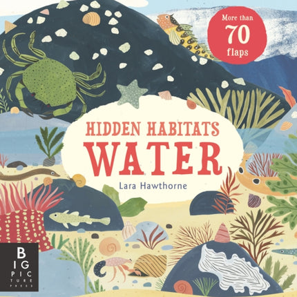 Hidden Habitats: Water