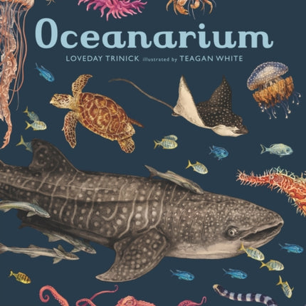 Oceanarium