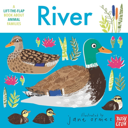 Animal Families River