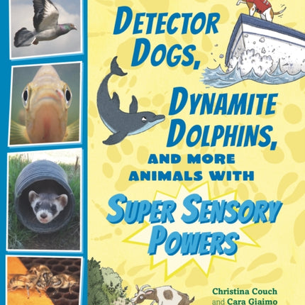 Detector Dogs, Dynamite Dolphins, and More Animals with Super Sensory Powers