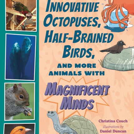 Innovative Octopuses HalfBrained Birds and More