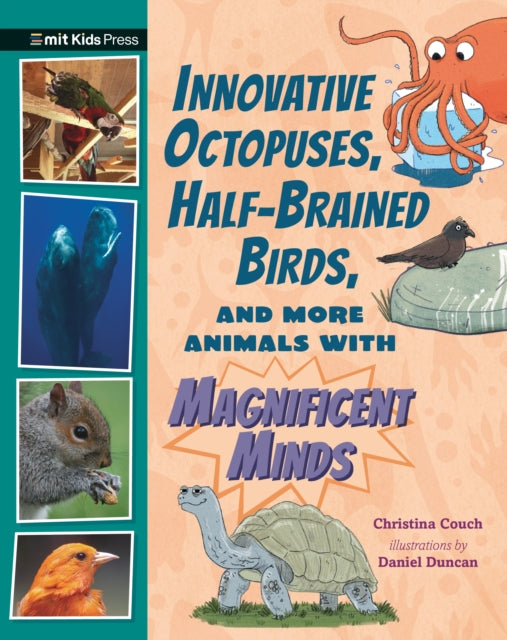 Innovative Octopuses HalfBrained Birds and More