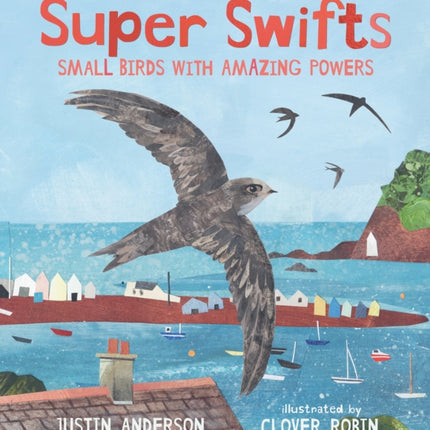 Super Swifts Small Birds with Amazing Powers