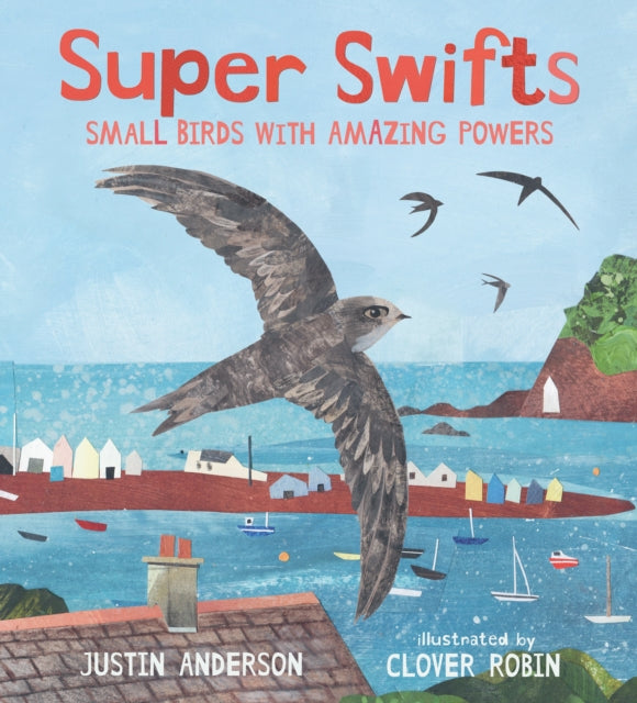 Super Swifts Small Birds with Amazing Powers