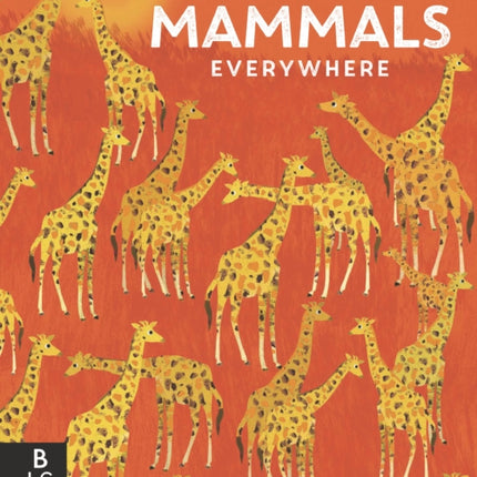 Mammals Everywhere