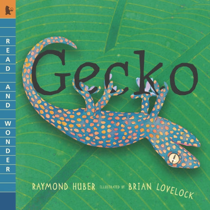 Gecko