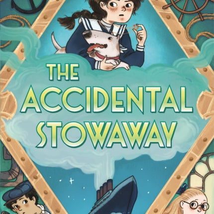 The Accidental Stowaway