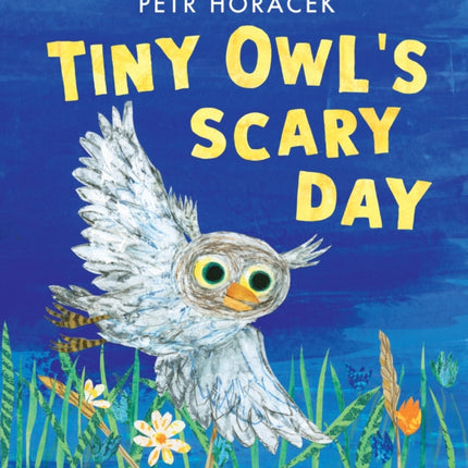 Tiny Owls Scary Day