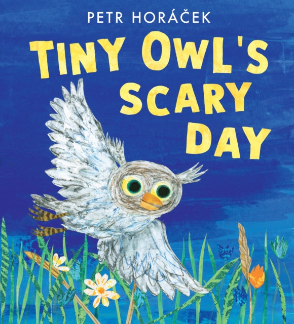 Tiny Owls Scary Day