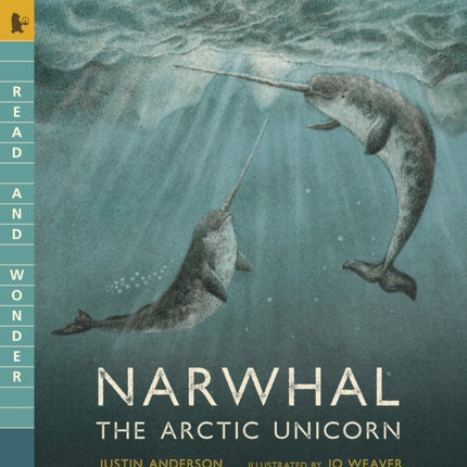 Narwhal The Arctic Unicorn