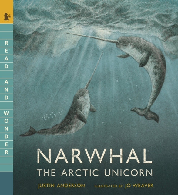 Narwhal The Arctic Unicorn