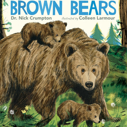 Brown Bears