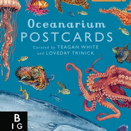 Oceanarium Postcard Box Set