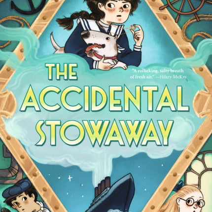 The Accidental Stowaway