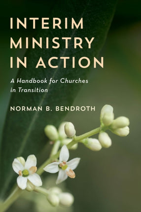Interim Ministry in Action: A Handbook for