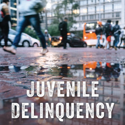 Juvenile Delinquency: Why Do Youths Commit Crime?
