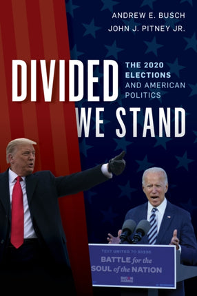 Divided We Stand: The 2020 Elections and American