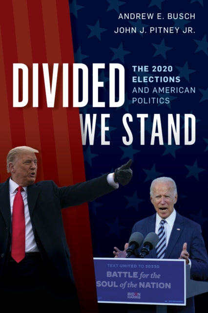 Divided We Stand: The 2020 Elections and American