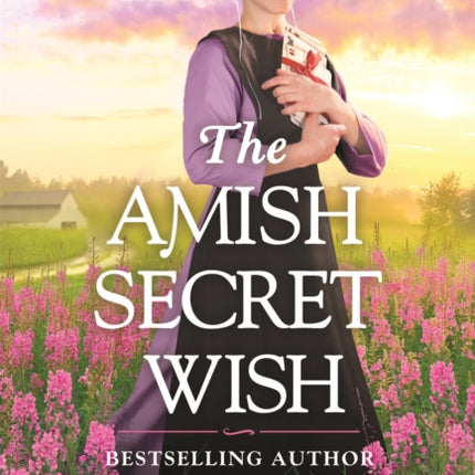 The Amish Secret Wish