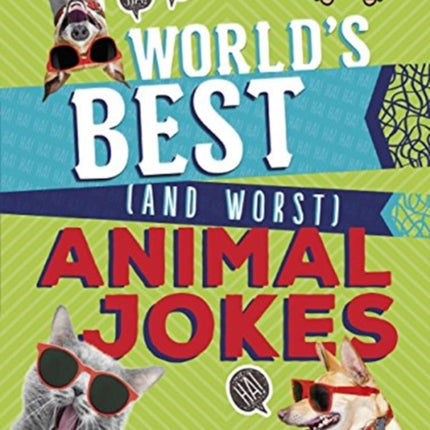 World's Best (and Worst) Animal Jokes