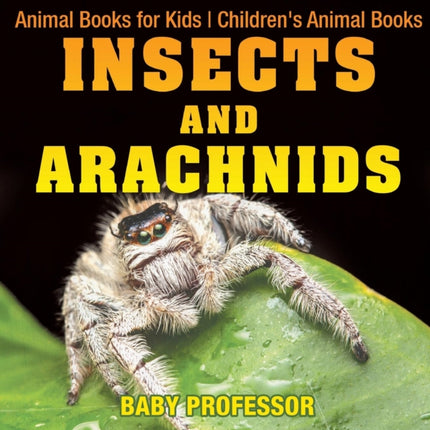 Insects and Arachnids: Animal Books for Kids Children's Animal Books