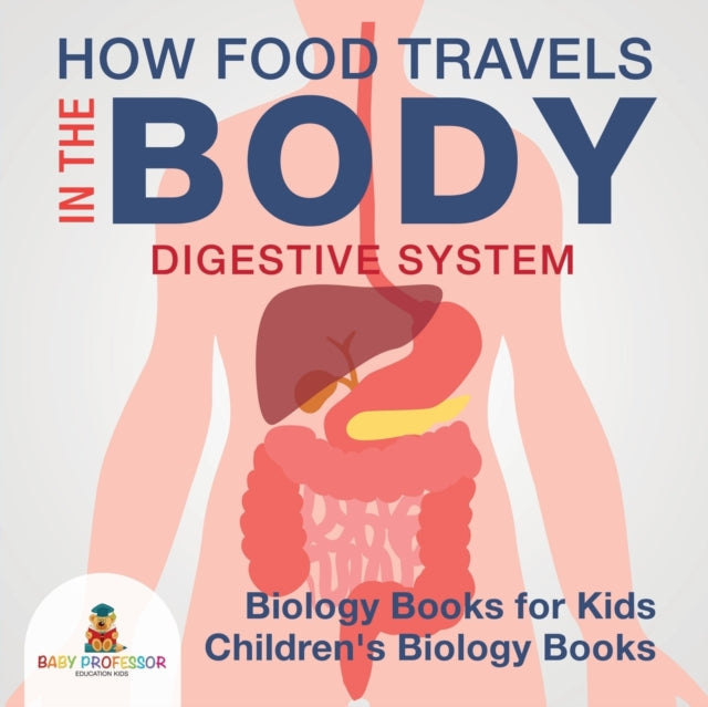 How Food Travels in the Body