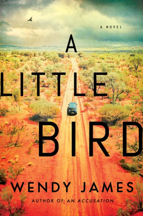 A Little Bird: A Novel