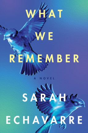 What We Remember: A Novel