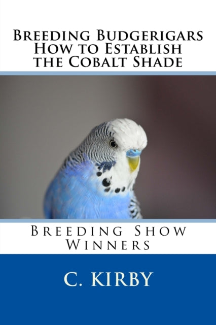 Breeding Budgerigars How to Establish the Cobalt Shade