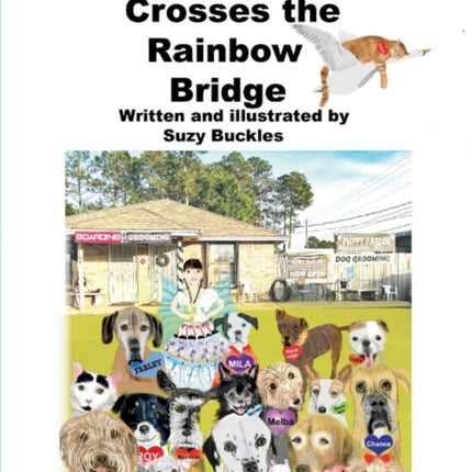 Jasper Crosses the Rainbow Bridge