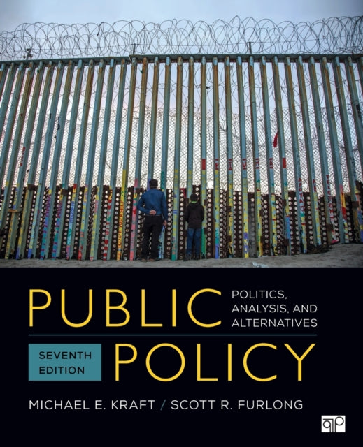 Public Policy: Politics, Analysis, and Alternatives