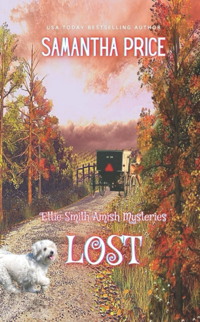 Lost: Amish Mystery