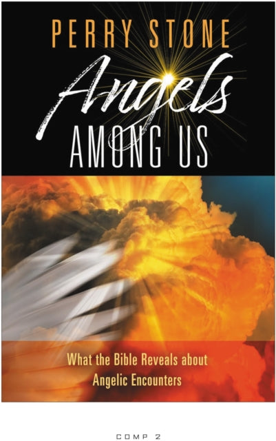 Angels Among Us: What the Bible Reveals About Angelic Encounters