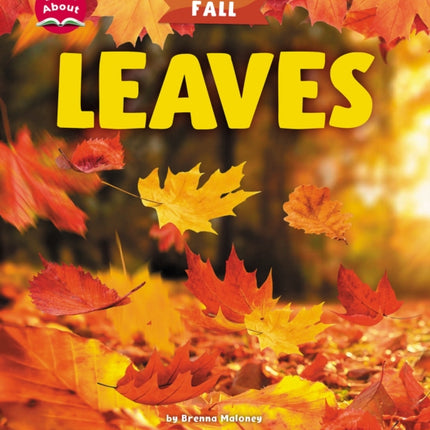 Leaves Learn About Fall