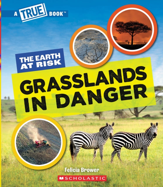 Grasslands in Danger a True Book The Earth at Risk