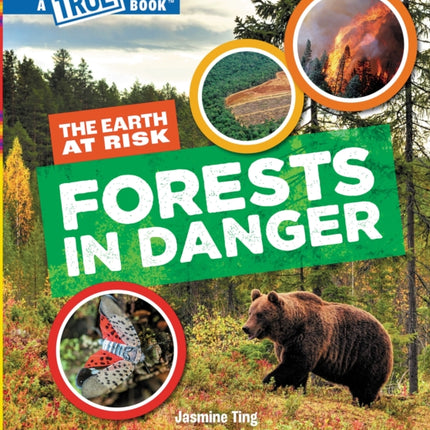 Forests in Danger a True Book The Earth at Risk