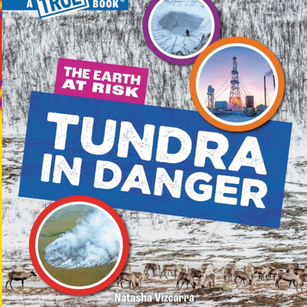 Tundra in Danger a True Book The Earth at Risk