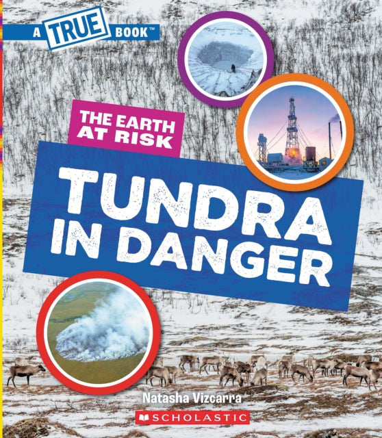 Tundra in Danger a True Book The Earth at Risk