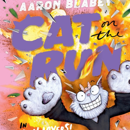 Cat on the Run in Hidden Layers Cat on the Run 3