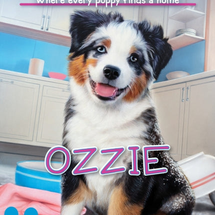 Ozzie The Puppy Place 70