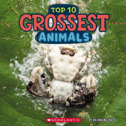 Grossest Animals Wild World Top 10