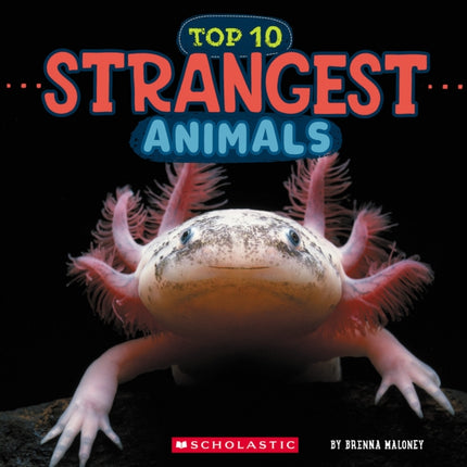 Strangest Animals Wild World Top 10