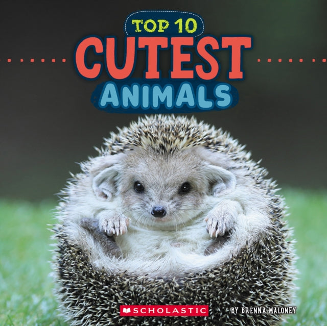Cutest Animals Wild World Top 10