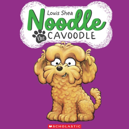 NOODLE THE CAVOODLE