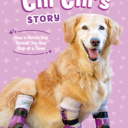 CHI Chis Story the Dodo