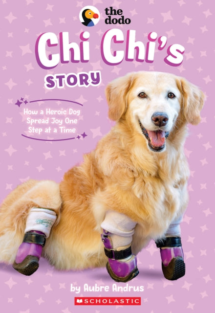 CHI Chis Story the Dodo