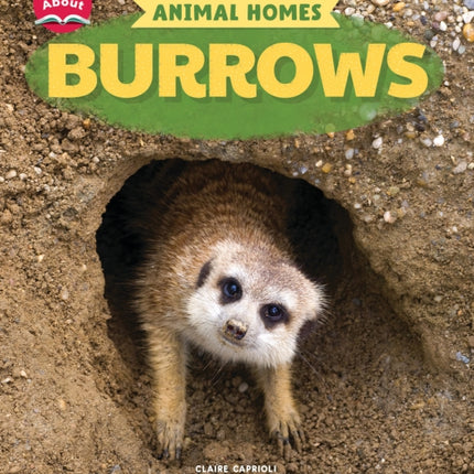 Burrows Learn About Animal Homes