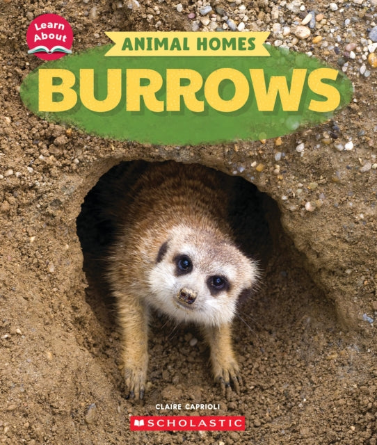 Burrows Learn About Animal Homes